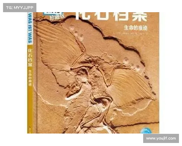 探索失落时代的生命痕迹 揭开古老世界生物神秘面纱的科学之旅 探索失落时代的生命痕迹 揭开古老世界生物神秘面纱的科学之旅