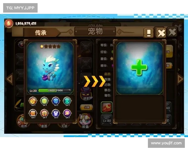 打造终极宠物的完整指南从选宠到训练全面解析