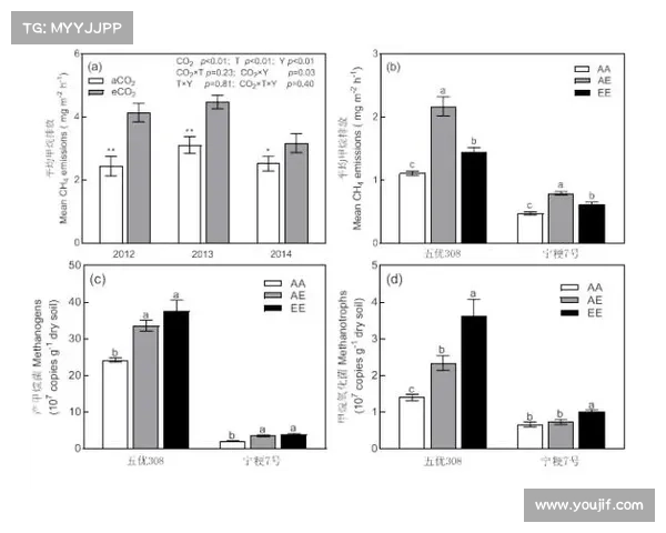 字母哥的国籍背景与篮球生涯发展之关系分析