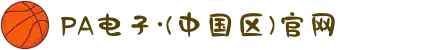 PA电子·(中国区)官网